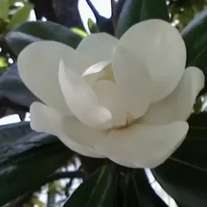 職場の人間関係のサムネイル