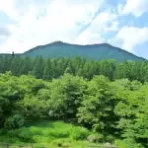 ストレスって、何だろう？のサムネイル
